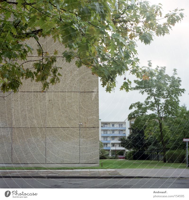 Living in the countryside Cottbus Prefab construction GDR Living or residing Residential area Ghetto Concrete Green Tree Autumn Facade Flat (apartment) Leaf