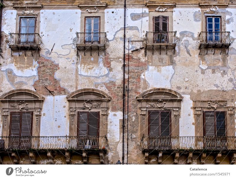 Splendor of bygone times, detail of neglected building Tourism City trip House (Residential Structure) Redecorate Old town Manmade structures Building