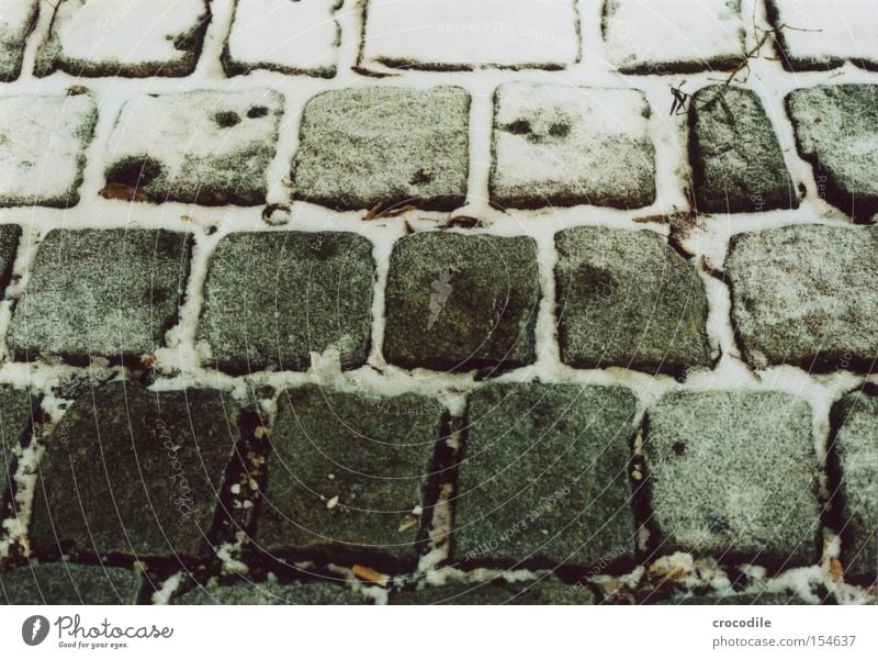 pavement Snow Stone Granite Branch Winter Cold Dark Lanes & trails Street Analog Traffic infrastructure Macro (Extreme close-up) Close-up Paving stone