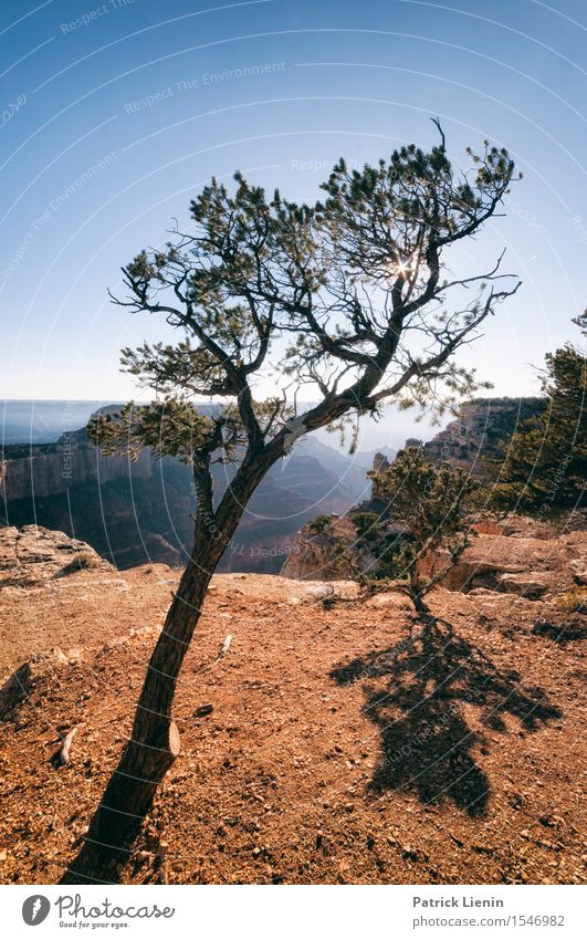 Father and Son Vacation & Travel Tourism Trip Adventure Freedom Summer Mountain Hiking Nature Landscape Plant Earth Sky Sun Climate Climate change Weather