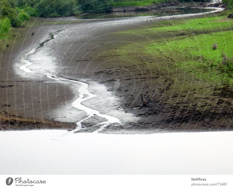 Dry lake [7] Lake Tree Riverbed Landscape Plant