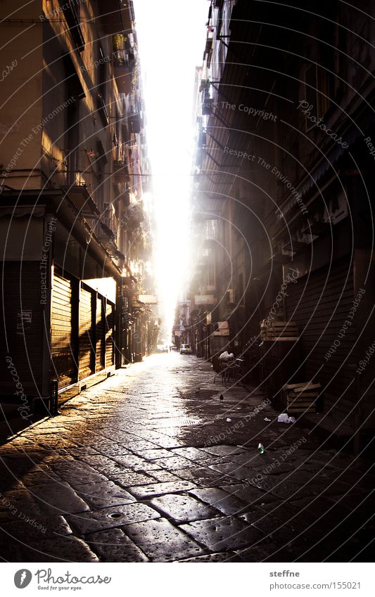 Good morning! Good morning! Italy Naples Back-light Morning Sun Sunrise Street Loneliness Wake up Arise Traffic infrastructure Beautiful