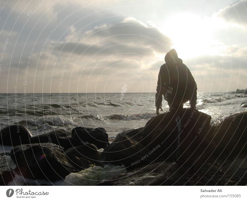 Evening yellow Denmark Ocean Sunset Net Langeland Baltic Sea Rock Stone Coast Lakeside Longing Calm Relaxation Sunbathing Far-off places Vacation & Travel Peace