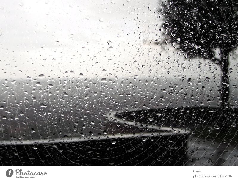 Nature's whim Environment Horizon Climate Weather Rain Tree Wet Gray Winding Vantage point Window pane Drops of water Shallow depth of field Deserted