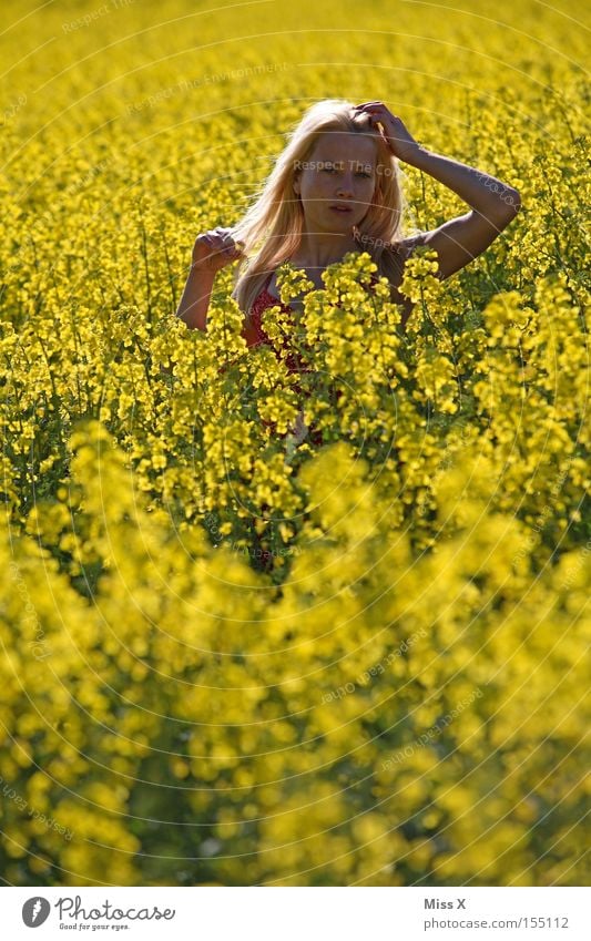 Ces in the field Colour photo Multicoloured Exterior shot Sunlight Looking into the camera Hair and hairstyles Freedom Summer Woman Adults Nature Spring Wind