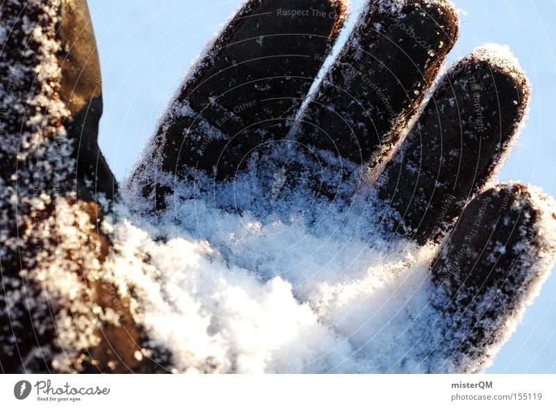 Take Me To The Place Where The Sun Goes Down. Winter Gloves Hand Touch Emotions Snow Snowball fight Human being Siberia Research Concentrate Cold Expedition