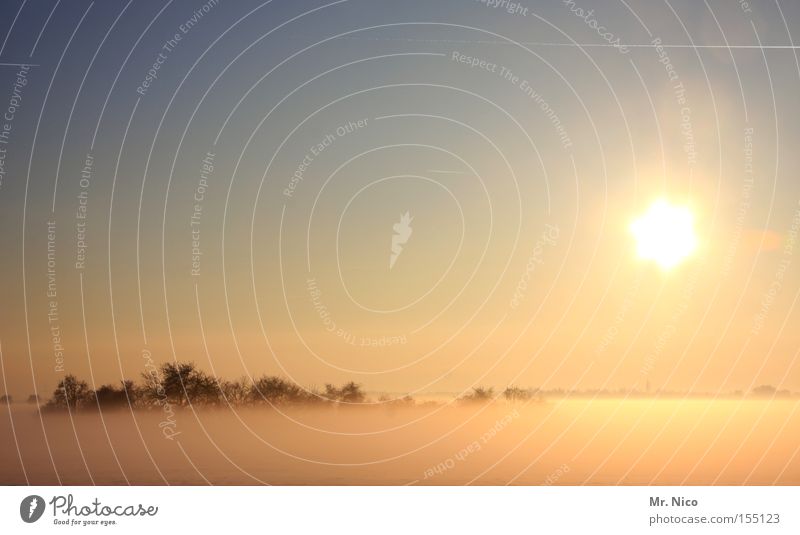 nebulous Fog Ground fog Vail Sun Sunset Sunlight Idyll Calm Winter's day Sky Clump of trees Nature Landscape Planet Celestial bodies and the universe