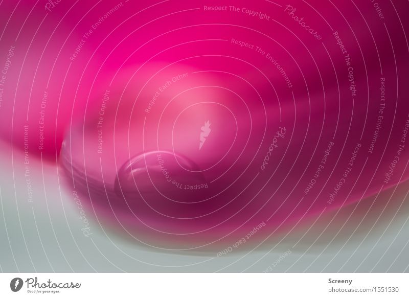 Gently bedded... Drops of water Flower Tulip Blossom Small Wet Pink Safety (feeling of) Fresh Colour photo Macro (Extreme close-up) Deserted Copy Space top Day