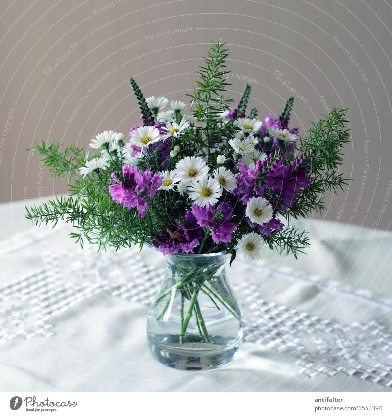 En schön Strüßje Spring Flower Leaf Blossom Marguerite Lilac Bouquet Detached house Wall (barrier) Wall (building) Decoration Tablecloth Embroidery Vase