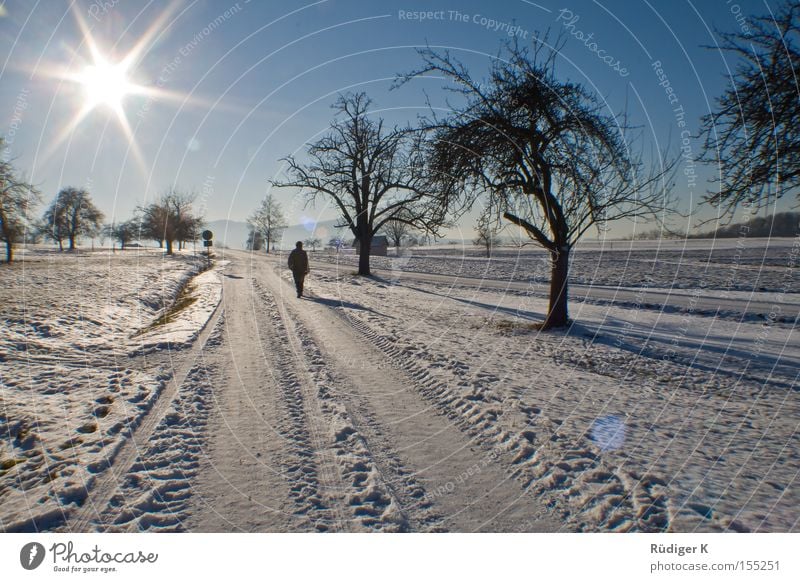 Walking alone Loneliness Snow Sun Sky Tree Lanes & trails Back-light 7 Human being To go for a walk Winter Tiefenbachtal star effect