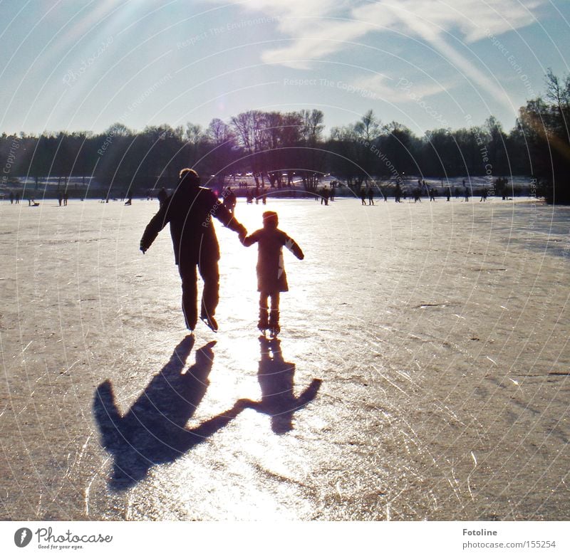 iridescent pond Winter Ice-skates Lake Pond Sun Sky Ice-skating Shadow Tree Winter's day Winter sports Air Playing