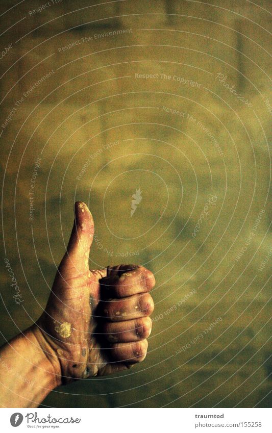 Thumbs Up! Hand Fingers Gesture Dirty Colour Dye Wall (building) Depth of field Brick Middle finger Small Ring finger Forefinger Joy Macro (Extreme close-up)