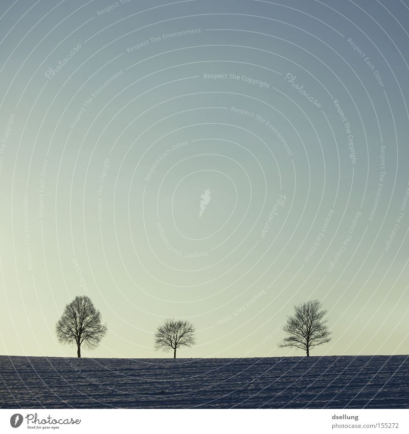 three trees in the field at dusk Winter Tree Snow Sunset 3 Bleak Blue Green Horizon Warped Simple Simplistic Precision Accuracy Appropriate Field Shadow Moody