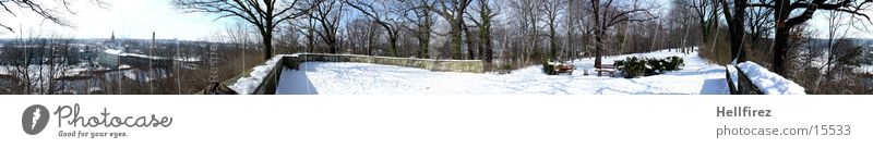 Pano 1 Winter Landscape Lausitz forest Spremberg Sun Snow