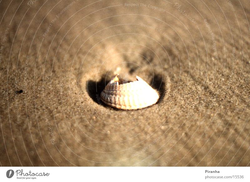 homeless person Mussel Beach Ocean Sand