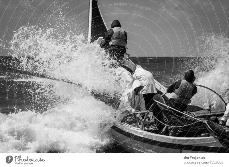 Fisheries in Vieira Leiria 10 Vacation & Travel Tourism Trip Adventure Far-off places Work and employment Profession Agriculture Forestry Environment Nature