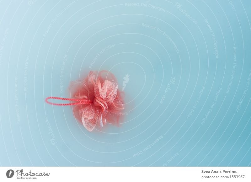 Bathroom. Water Sponge Reticular Bathtub Swimming & Bathing Personal hygiene Wet Blue Red Turquoise Contentment Relaxation Beautiful Colour photo Multicoloured