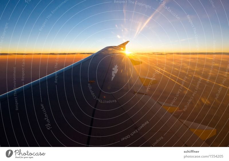 Fly away ... SunWing IV Sky Clouds Sunrise Sunset Sunlight Beautiful weather Flying Aviation Airplane Passenger plane View from the airplane Wing tip Sunbeam