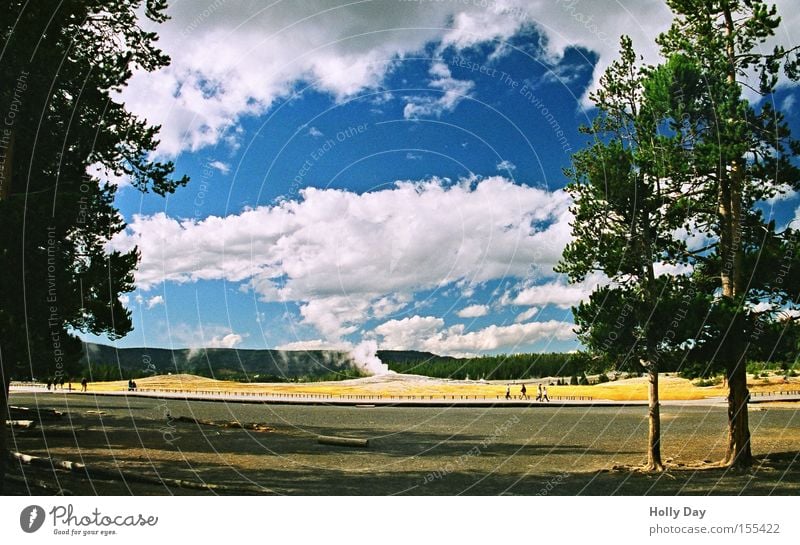 relaxation period Tree Geyser Explosion Relaxation National Park Steam Clouds Vista Audience Calm Break Vantage point Volcano Summer USA Sky