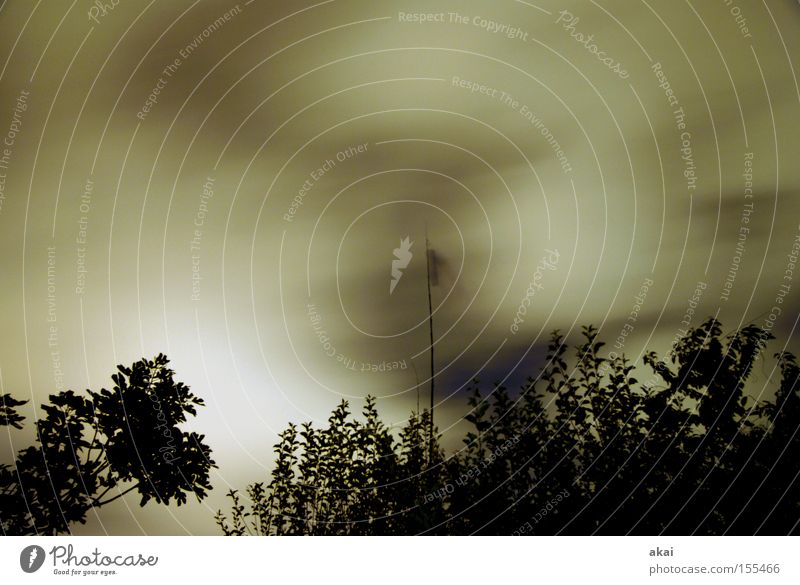 stormy night Gale Tree Clouds Cloud field Windsock Sky Branchage Long exposure