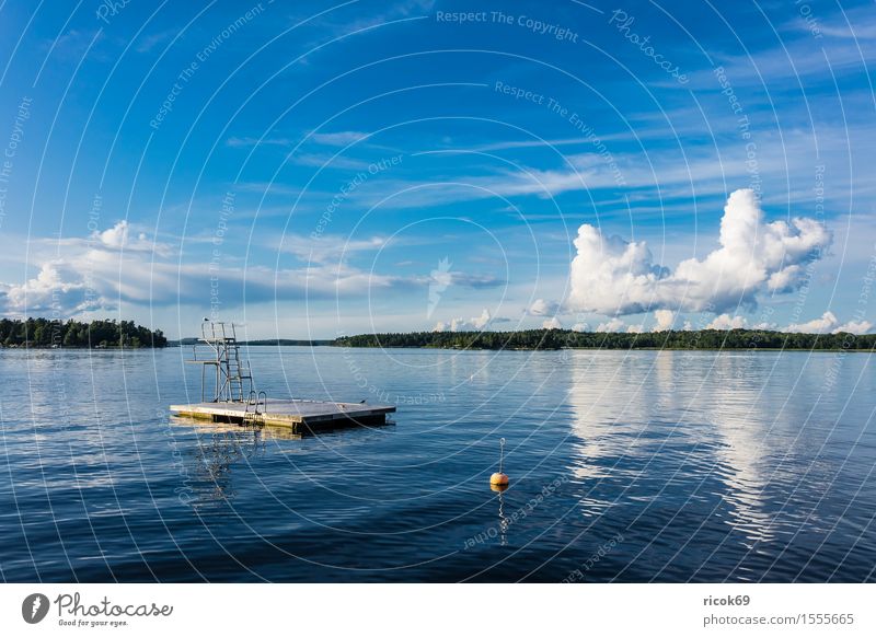 Bathing area on the Swedish coast Relaxation Vacation & Travel Tourism Island Nature Landscape Clouds Tree Coast Baltic Sea Watercraft Blue Green Skerry Swede