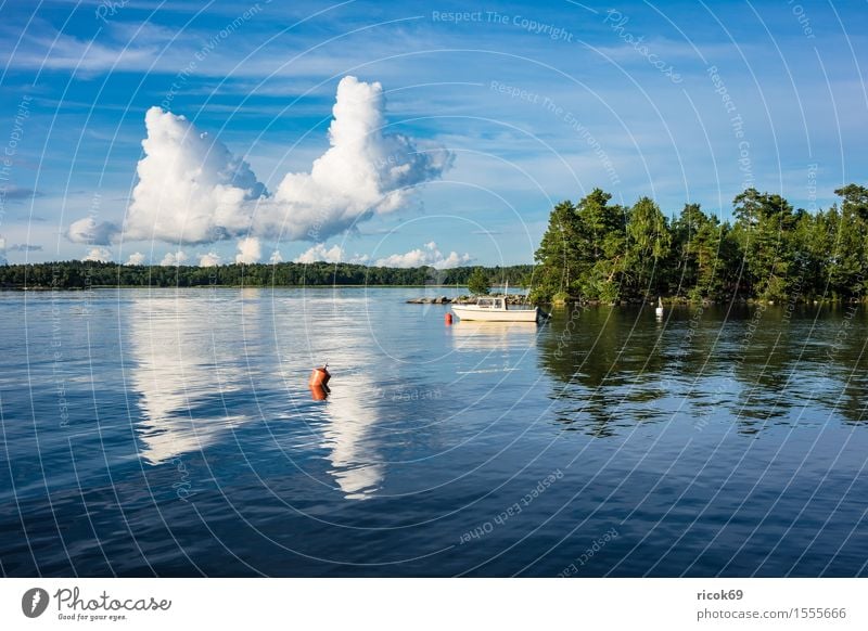 Archipelago on the Swedish coast Relaxation Vacation & Travel Tourism Island Nature Landscape Clouds Tree Coast Baltic Sea Watercraft Blue Green Skerry Swede