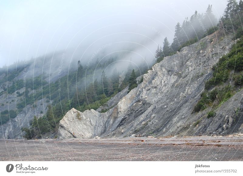 ghost beach Environment Nature Landscape Elements Water Sky Climate Beautiful weather Bad weather Storm Fog Plant Tree Rock Mountain Euphoria Shroud of fog