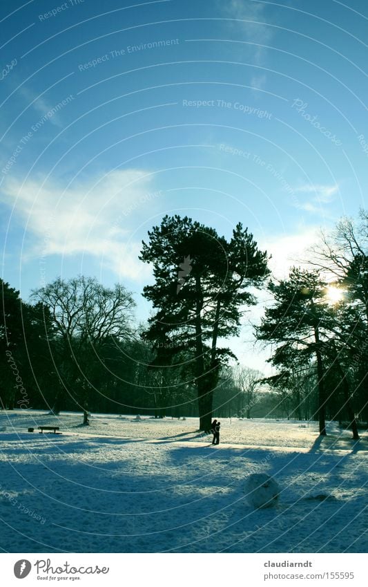 winter's day Winter Winter's day Snow Park Landscape Tree Cold Frost Beautiful weather To go for a walk Snow ball Calm Shadow