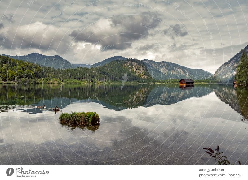 lake Nature Landscape Spring Weather Hill Mountain Lakeside Hut Dark Cold Colour photo Exterior shot Panorama (View)