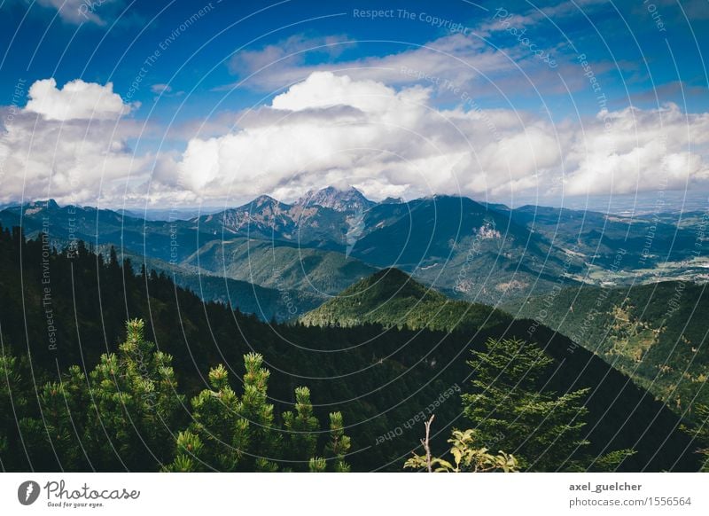 mountain view Nature Landscape Sky Clouds Summer Beautiful weather Tree Forest Hill Mountain Austria Discover Going To enjoy Hiking Joie de vivre (Vitality)