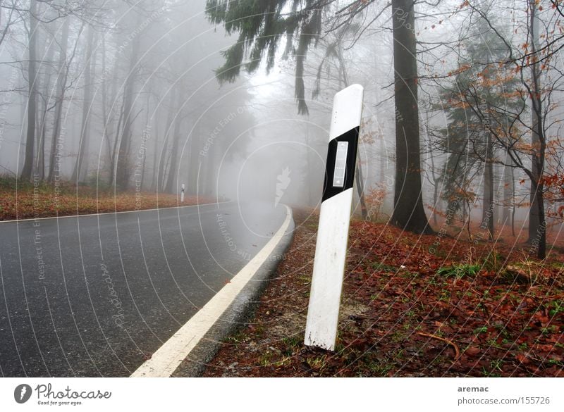 damp room Street Forest Fog Tree Rain Wet Damp Driving Reflector post Autumn Traffic infrastructure Street sign