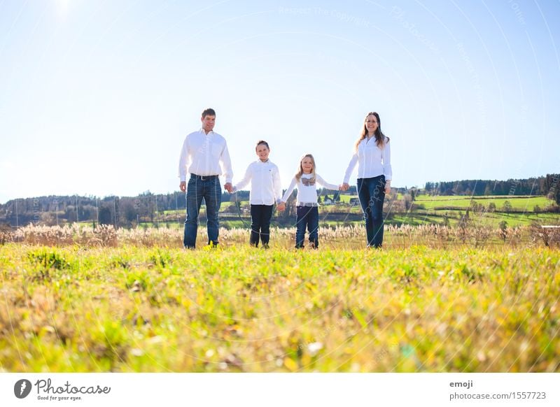 happy family holding hands Human being Masculine Feminine Family & Relations 4 Group Environment Nature Summer Beautiful weather Meadow Together Happy naturally