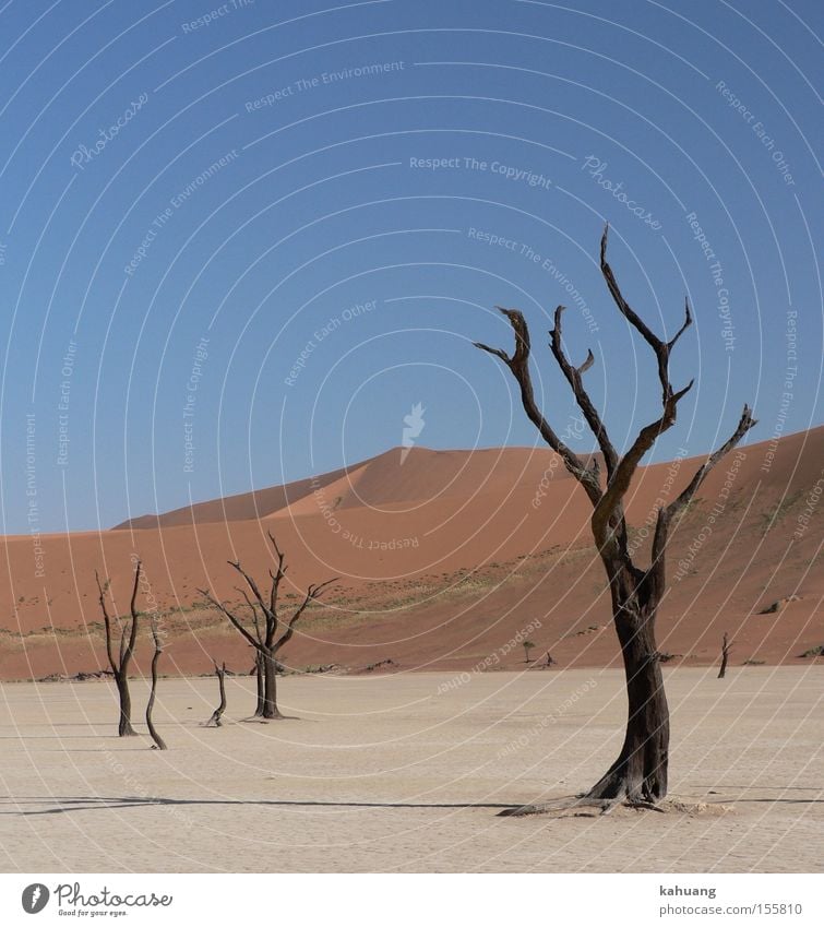 Dead Vlei Namibia Namib desert Dune Desert Africa Sossusvlei Namib Naukluft National Park Southern Africa