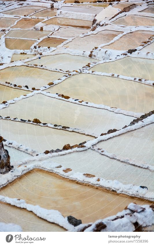 White Gold Salt Cooking salt Landscape maras Peru South America Saltworks salt terrace Multicoloured Inca Colour photo Exterior shot