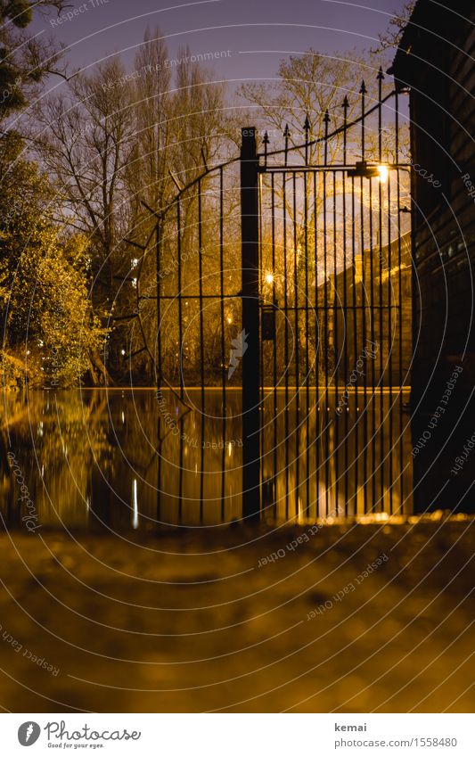 Gateway to the water world Environment Water Tree River Oxford Iron gate Exceptional Dark Calm artistic Surface of water iron grid Grating Metal post Point