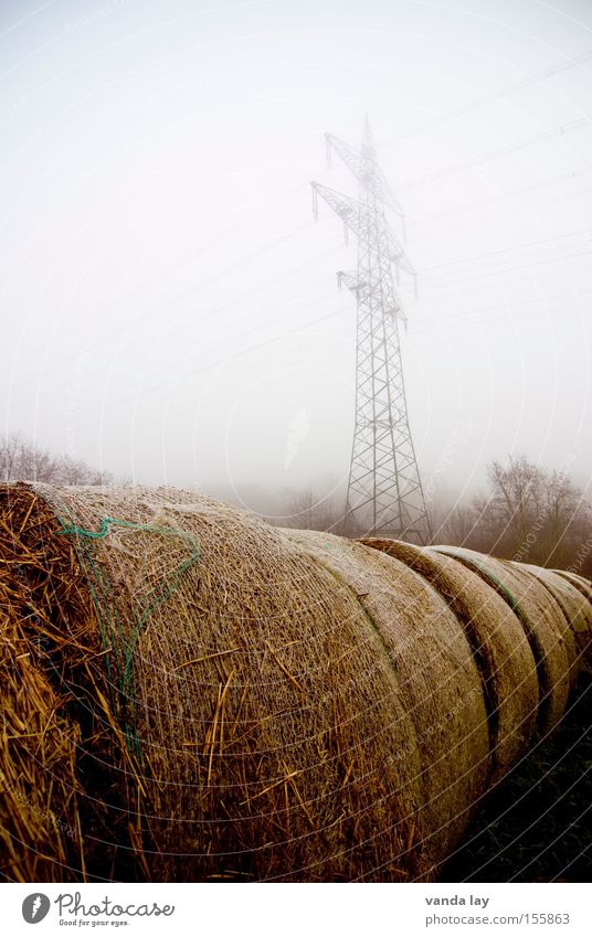 Concentrated Agriculture Straw Bale of straw Electricity Energy Electricity pylon Environment Organic produce Organic farming Climate Biological Supply