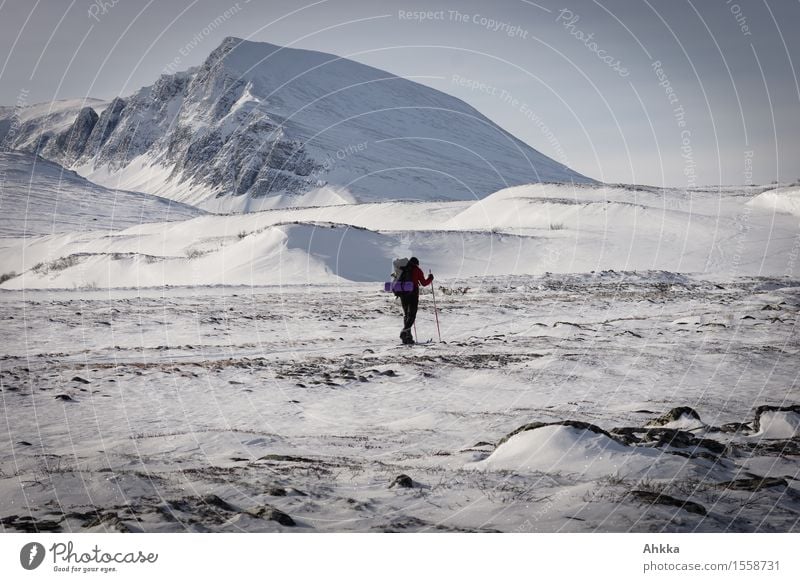 Ski hikers in the wintery mountain landscape of Norway Winter sports Skiing 1 Human being Landscape Snow Mountain Snowcapped peak Adventure Loneliness