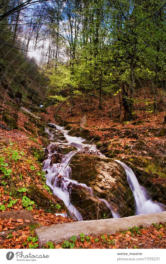 Spring waterfall and forest stream in mountains Vacation & Travel Sun Nature Landscape Plant Elements Earth Water Sky Sunrise Sunset Climate Beautiful weather