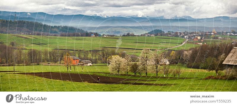 Blooming trees in spring mountains. Snow and green fields Apple Vacation & Travel Mountain House (Residential Structure) Garden Environment Nature Landscape Air