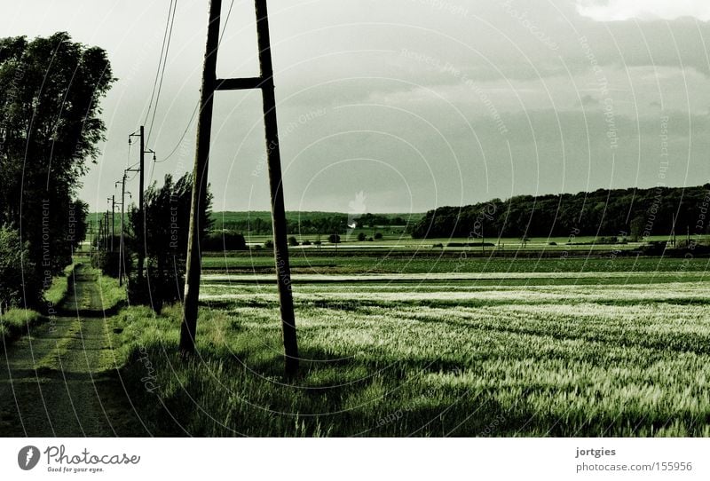 Green wasteland Cornfield Field Footpath Agriculture Ecological Electricity pylon High voltage power line Nutrition in the country