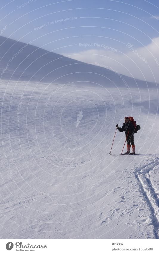 Young skier beside the track in untouched barren winter landscape on a hike Calm Adventure Snow Winter vacation Winter sports Skiing Human being 1 Landscape Ice