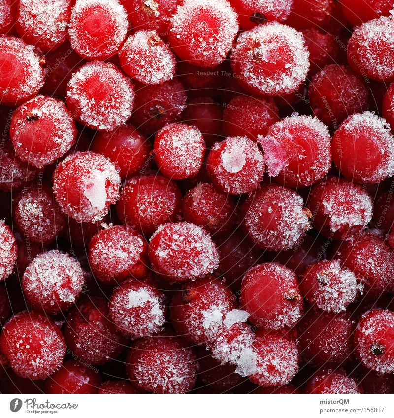 Frozen currants. Redcurrant Fruit Vitamin Frost Delicious Colour Dye Vegetarian diet Frozen foods Healthy Winter Fresh Juicy Force Detail quick-frozen