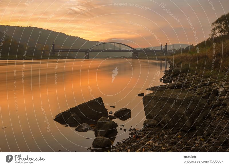 On the Elbe Nature Landscape Plant Water Sky Clouds Summer Weather Beautiful weather Tree Grass Forest Hill River bank Bridge Dark Blue Brown Orange Pink Flow