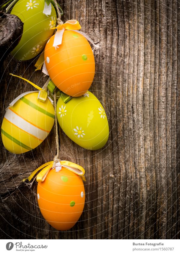 Easter is coming Wood Round Beautiful Multicoloured 2016 March eggs Decoration Easter Eggs Exterior shot Close-up Deserted Evening Light Contrast Long shot