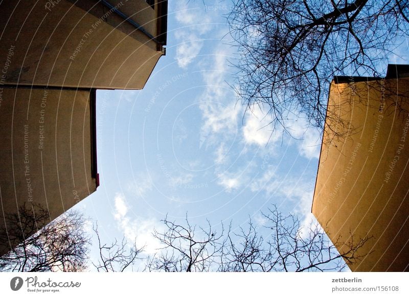 Vertical (2) Backyard House (Residential Structure) Town house (City: Block of flats) Wall (building) Wall (barrier) Fire wall Window Tree Branch Sky Clouds