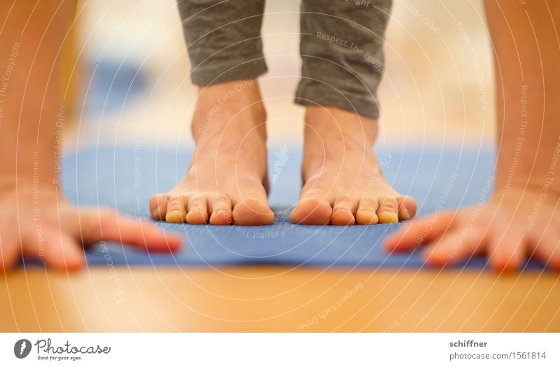 ...made it! Healthy Life Well-being Relaxation Calm Meditation Leisure and hobbies Sports Fitness Sports Training Yoga Human being Arm Hand Fingers Feet Toes