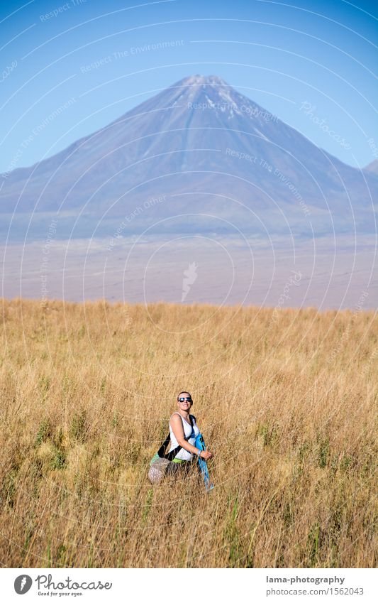 Sunny Walk Vacation & Travel Trip Far-off places Freedom Summer vacation Mountain Hiking Young woman Youth (Young adults) 1 Human being Nature Landscape