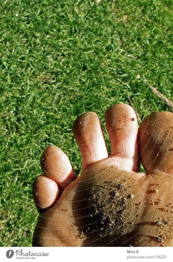 dirty foot Colour photo Exterior shot Pedicure Summer Feet Warmth Grass Meadow Stone Dirty Mud Barefoot Toes Stony nature trail foot massage