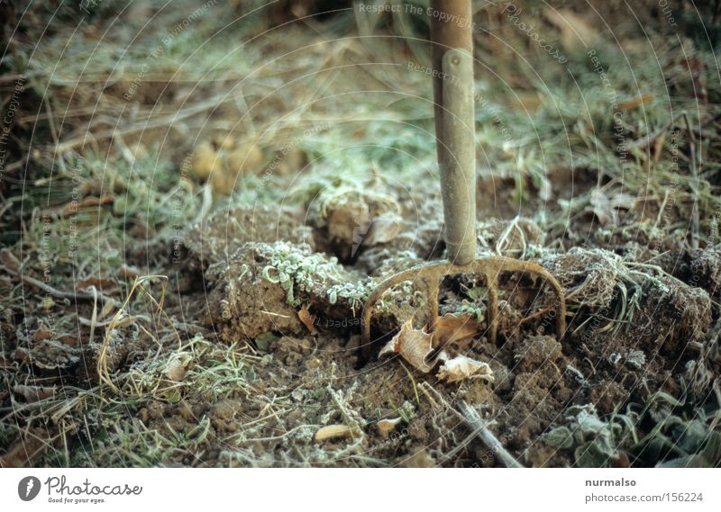 Yesterday in the garden Garden Frost Dig Gardener Pitchfork Equipment Autumn Winter Blossoming Compost Cold Rust Nature Frozen Lawn Earth Obscure Faded