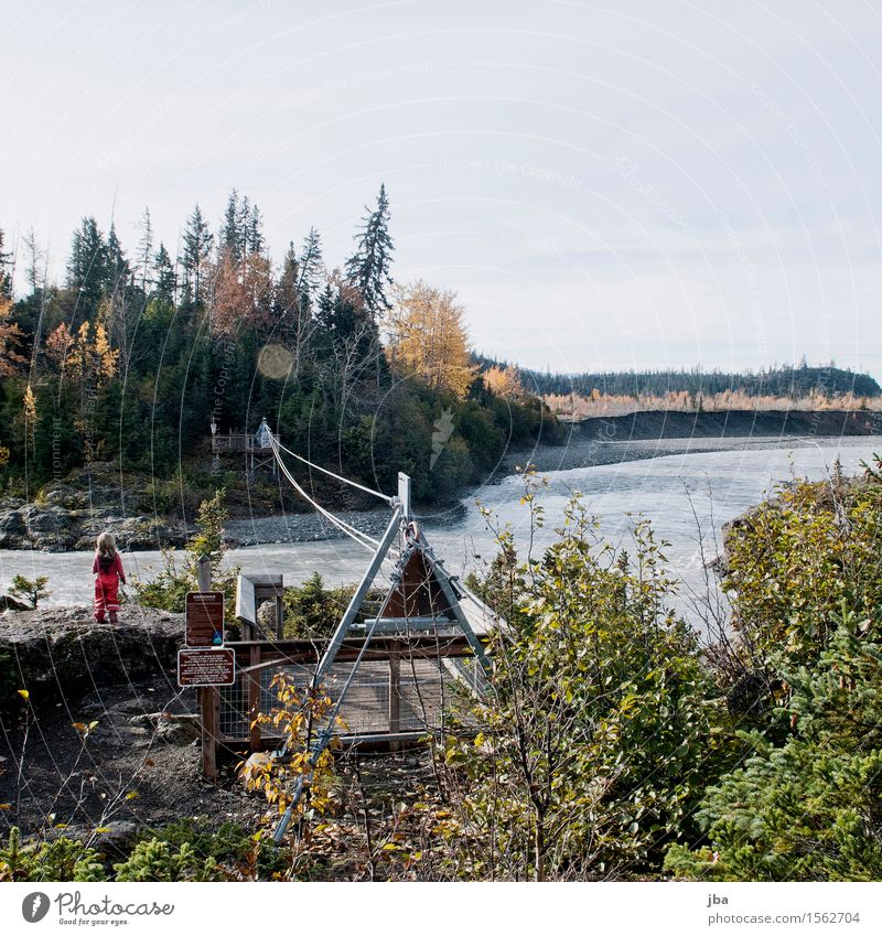 Brook crossing in Alaska - Alaska 29 Fitness Life Vacation & Travel Trip Far-off places Freedom Summer Hiking Girl 1 - 3 years Toddler Nature Water Autumn